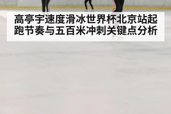 高亭宇速度滑冰世界杯北京站起跑节奏与五百米冲刺关键点分析(JJB)